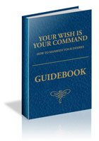 YWIYC Guide Book